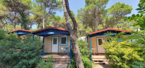 Mobile home- 20m from the sea